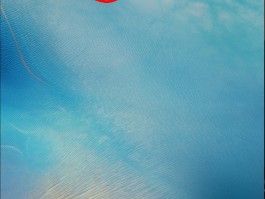关于短信接口调用失败是什么意思啊苹果手机的信息